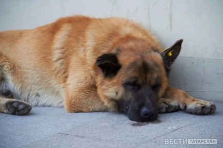 � ������ ��������� ������� ����� � ����� �� ���������