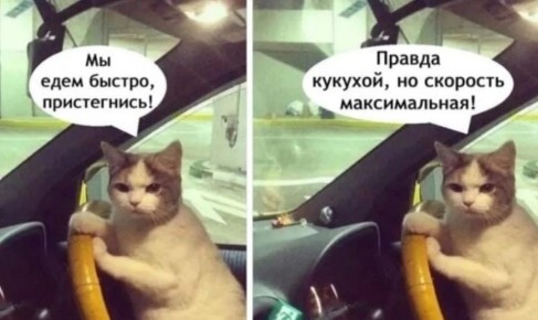 � ���������� ��������� ������ � ������