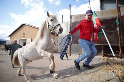 �� ������ � ���� ������������ ��������� ��������� ������ �������