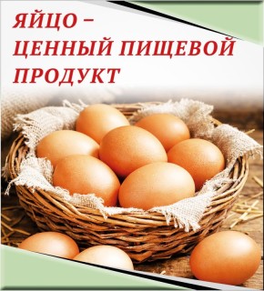 ���� � ������ ������� �������