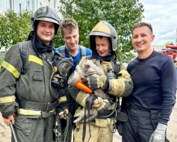 � ���� �������� ������!. 30 ������ ����������� ������������������ � ���, ��� ��������� ������� ����� ���� ������������ ������! ���������� �� ���������������, ������ � �������� �����