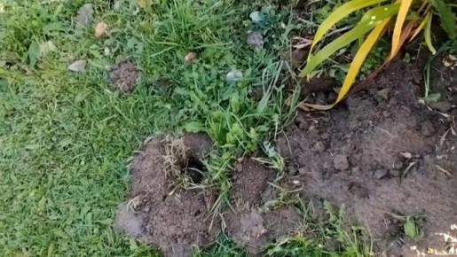 ��������� �����: ��� ���������� � ���� �� 72 ����