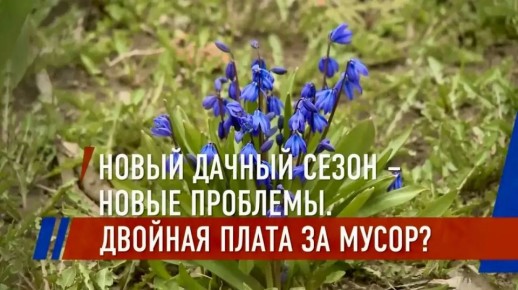 �������� ������ �� �����: ������ ������� � ��������� � ������ ������?