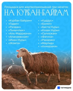 � ������ ������� 17 �������� ��� ���������������� �� ������-������