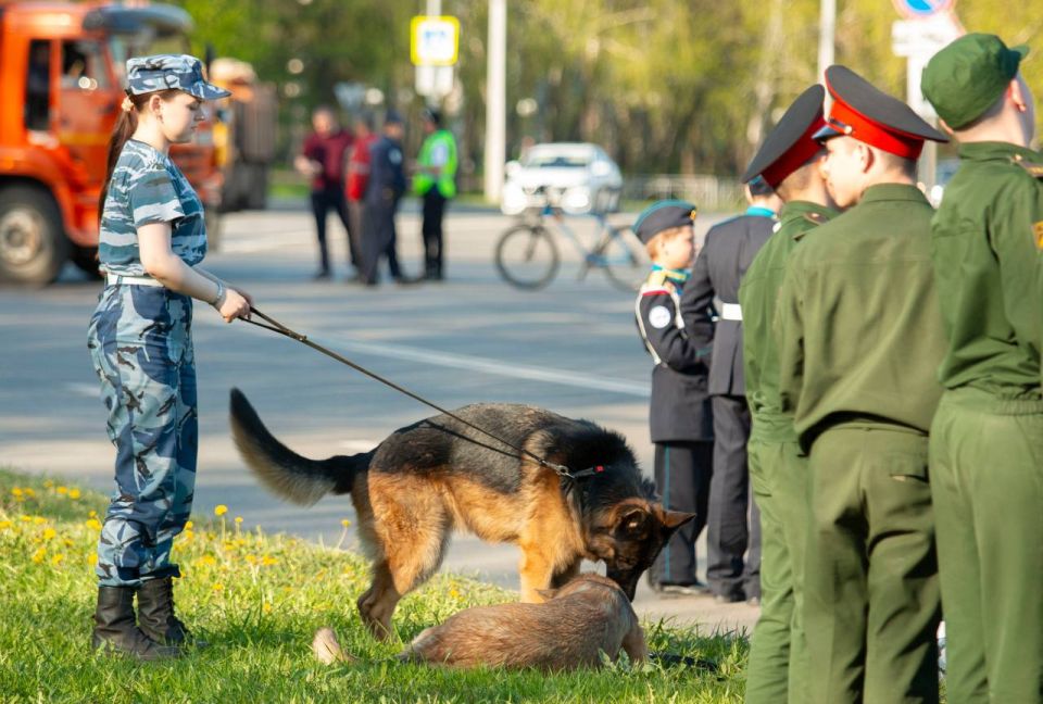 Доброе утро, Нижнекамск!. Совсем скоро мы отметим один из самых важных праздников — 9 Мая, День Победы Доброе утро, Нижнекамск!. Совсем скоро мы отметим один из самых важных праздников — 9 Мая, День Победы