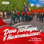 � ��� ������� ���������� ������� 81-� ��������� ������ � ������� ������������� �����