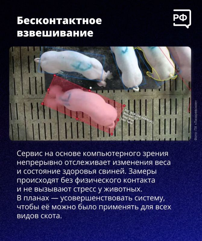 123456 поселился под Казанью! 123456 поселился под Казанью!