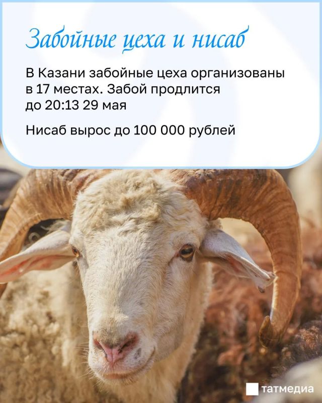 �� ���� ������� ���������� �������� ����������� ������ �� ������-������
