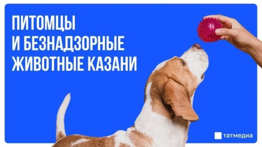 �������� � ������������� ��������� � ������ ����������, � ����� ������ ����� ���������� � ����� ��� ��������
