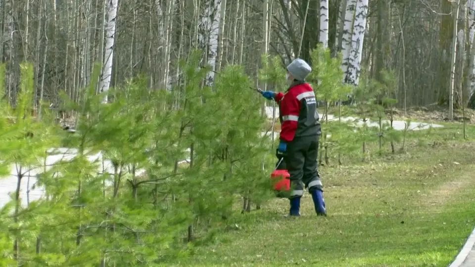 С 29 апреля по 4 мая в Нижнекамске специалисты Центра гигиены и эпидемиологии обработали от клещей почти 140 гектаров