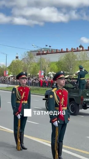 �� ������� ����������� ������� ������� �����, ������������ � 81-����� ������� ������