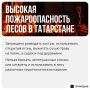 Напоминаем, что в РТ действует штормовое предупреждение из-за высокой пожароопасности лесов