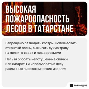 Напоминаем, что в РТ действует штормовое предупреждение из-за высокой пожароопасности лесов