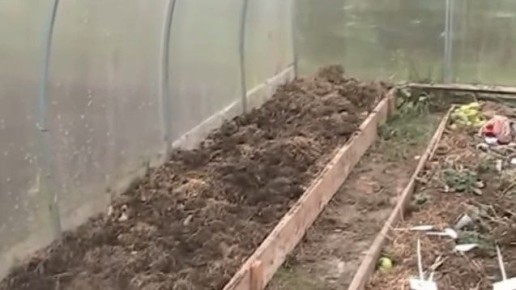 ��� ��������� ����������� ������� � ��������� ������: ������ ��� �������� �������