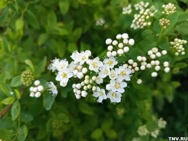 � ���������� ������������ ��������� ��� ��������� ��������������