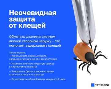 ��� ������������ ���������� �� ������