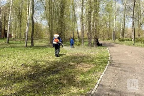Татарстан — в числе регионов, опасных по клещевому энцефалиту