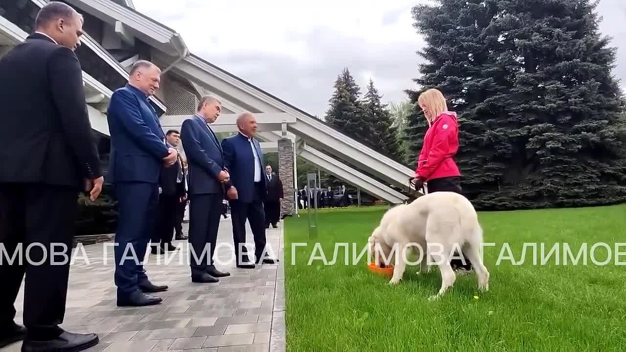 - Он какой чемпион у нас?. - Чемпион России!