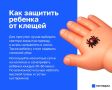 Как защитить маленьких детей от клещей: советы врача