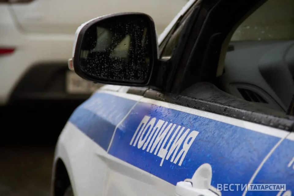 В Нижнекамске задержали владельца бультерьера после нападения на девочку