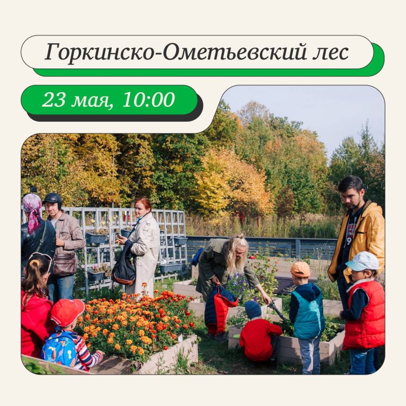 Открываем клуб любителей грядок и урожая Открываем клуб любителей грядок и урожая