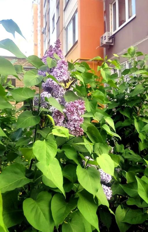 Сегодня погода вновь радует теплом и солнцем, синоптики обещают +26 градусов и чистое небо