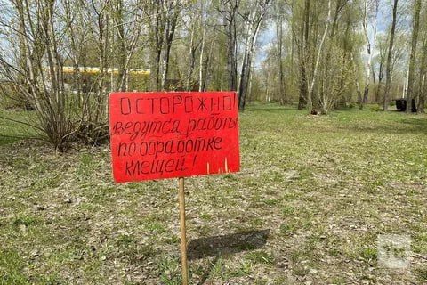 В Татарстане клещи покусали уже 2029 человек