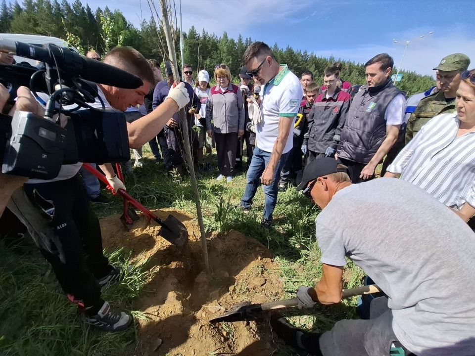 Нижнекамцы высадили вдоль Соболековской дороги 250 пирамидальных тополей Нижнекамцы высадили вдоль Соболековской дороги 250 пирамидальных тополей