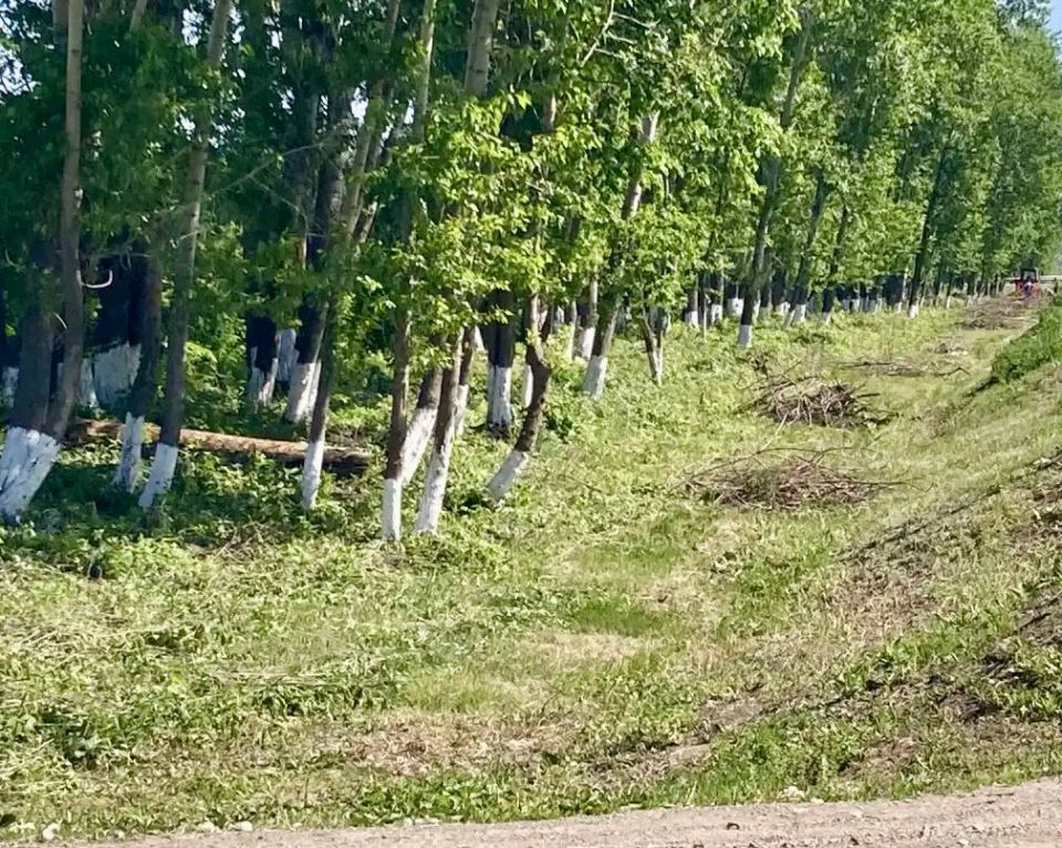 В Нижнекамском районе продолжается санитарно-экологический двухмесячник В Нижнекамском районе продолжается санитарно-экологический двухмесячник