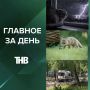 Гибель ребёнка при падении с балкона в Челнах, смерть младенца в ванночке, обрушение стены на сносе «Планеты Фитнес», нападение лисы на шестерых человек | ГЛАВНОЕ ЗА ДЕНЬ