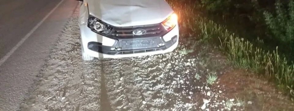 На минувшей неделе в Нижнекамском районе зарегистрировано три ДТП с участием диких животных, в которых автомобили получили механические повреждения На минувшей неделе в Нижнекамском районе зарегистрировано три ДТП с участием диких животных, в которых автомобили получили механические повреждения