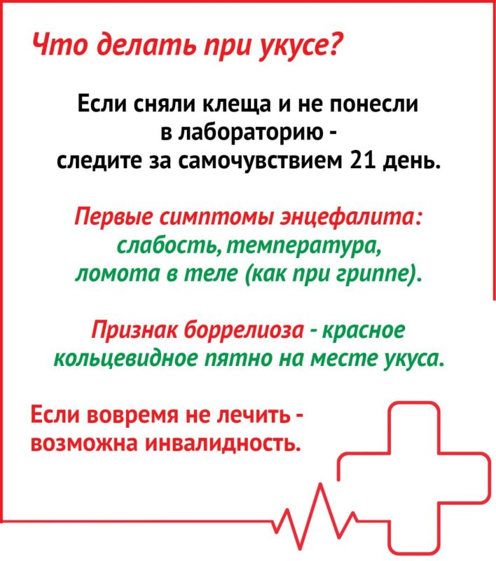 Спасет ли сейчас вакцина от клещевого энцефалита? Спасет ли сейчас вакцина от клещевого энцефалита?