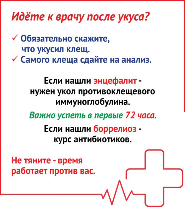 Спасет ли сейчас вакцина от клещевого энцефалита? Спасет ли сейчас вакцина от клещевого энцефалита?