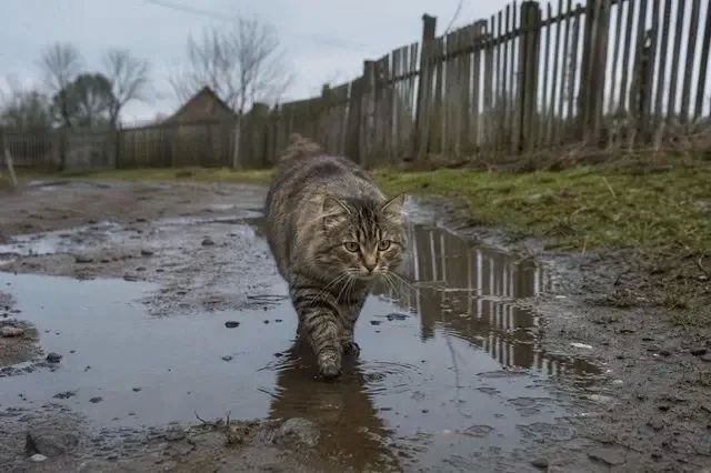 Куда ушло лето? В Татарстане ожидаются грозы, сильные дожди и похолодание до +28