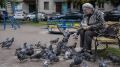 Татарстанцев предупредили о штрафах за кормление голубей во дворах