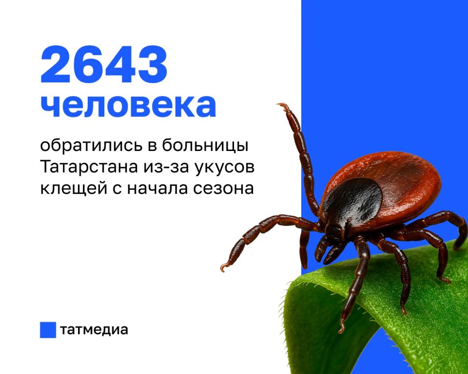 В Татарстане выявили первый с начала сезона случай клещевого энцефалита