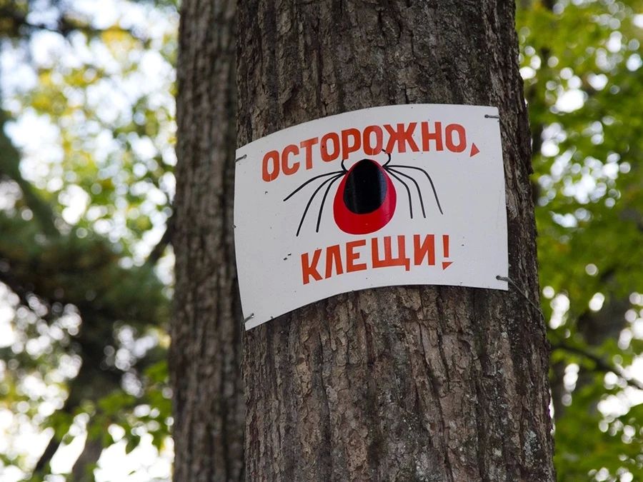 Жителей Татарстана предупредили об опасности клещей