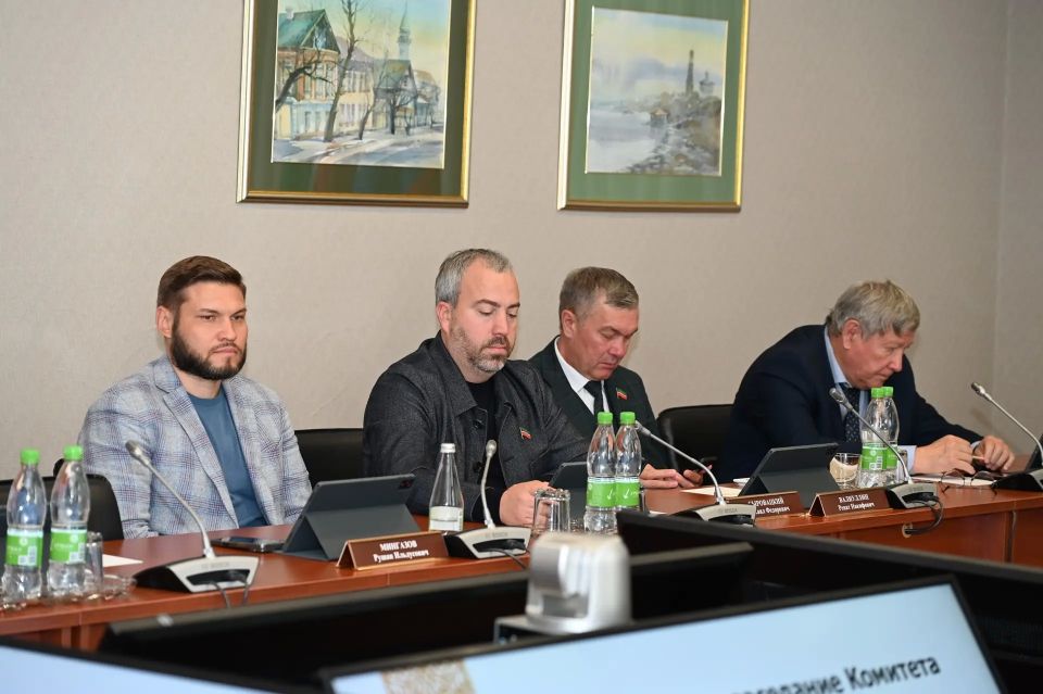 Состоялось заседание Комитета по государственному строительству и местному самоуправлению Состоялось заседание Комитета по государственному строительству и местному самоуправлению