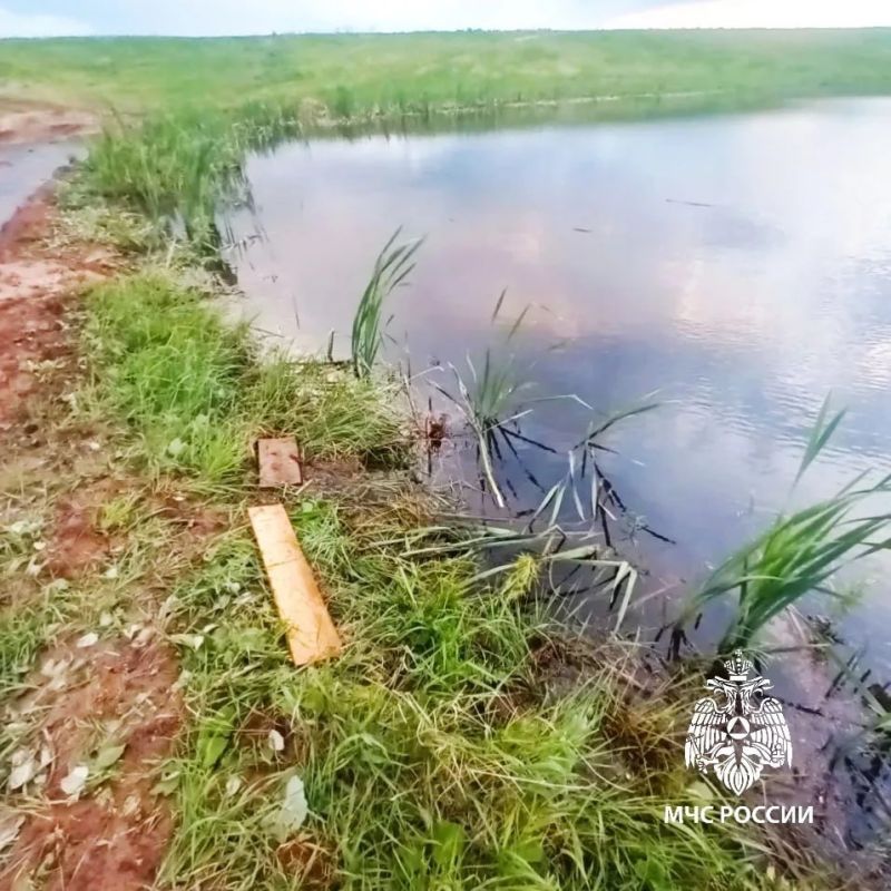 Трагедия в Чистопольском районе: мужчина упал с берега в пруд и погиб