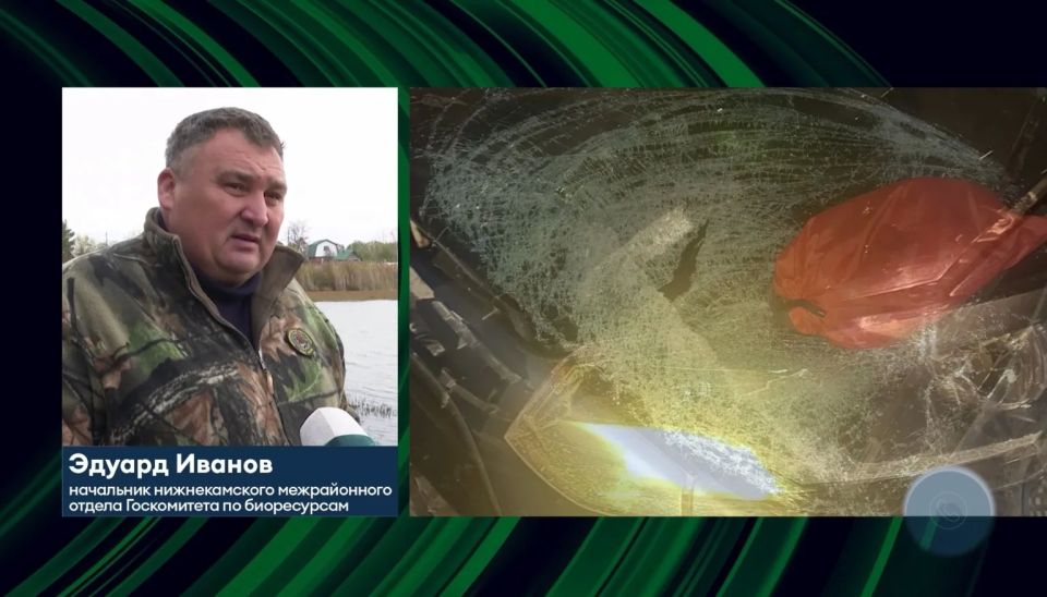 Неожиданное появление, столкновение, ДТП — по такому сценарию обычно происходит встреча с дикими животными на лесных дорогах