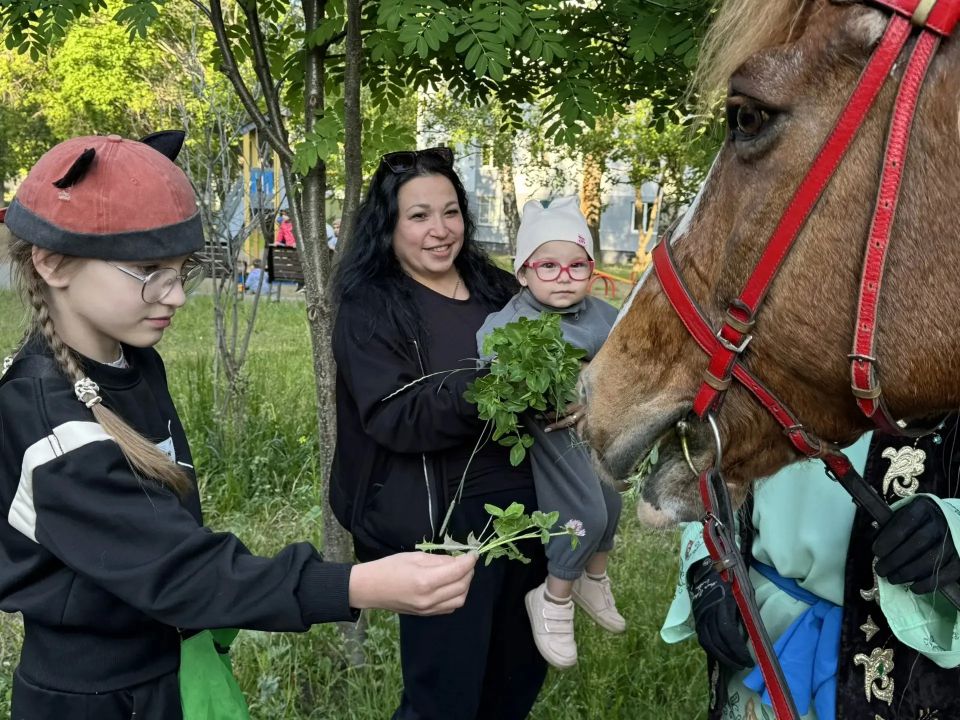 В Нижнекамске проходит сбор подарков на Сабантуй В Нижнекамске проходит сбор подарков на Сабантуй