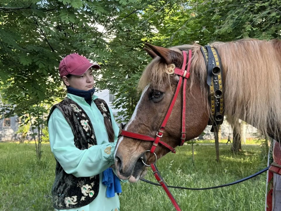 В Нижнекамске проходит сбор подарков на Сабантуй В Нижнекамске проходит сбор подарков на Сабантуй