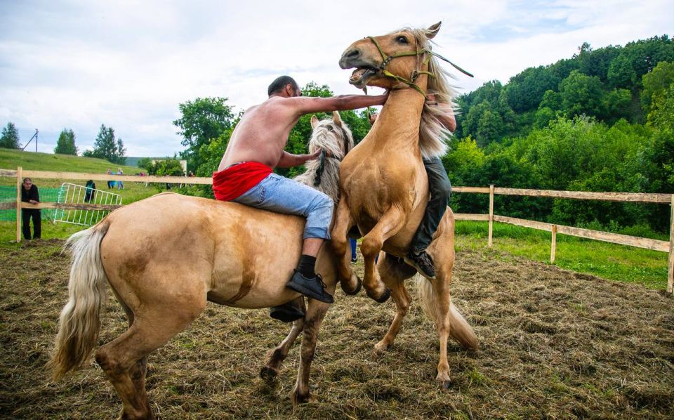 На майдане в Камских Полянах прошёл традиционный национальный праздник Сабантуй На майдане в Камских Полянах прошёл традиционный национальный праздник Сабантуй