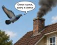 Семья с детьми отравилась угарным газом из-за голубя, застрявшего в дымоходе в Татарстане