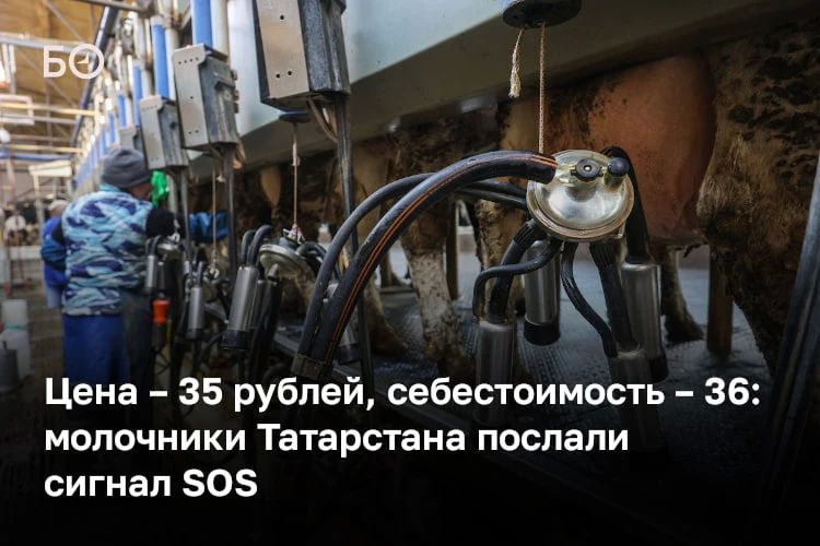 Татмолсоюз вновь обратился в минсельхозпрод республики и лично к министру сельского хозяйства РТ Марату Зяббарову с тревожным сообщением о ситуации в молочной отрасли региона