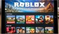 Минцифры и Роскомнадзор договорились с компанией Roblox о защите российских детей от опасного контента