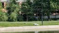 На дне Черного озера в Казани нашли труп молодого человека