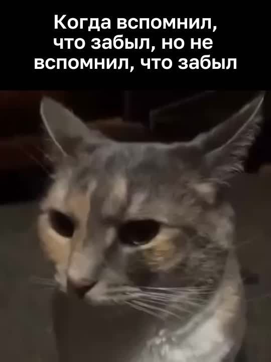 Активное использование гаджетов у детей может привести к ухудшению памяти