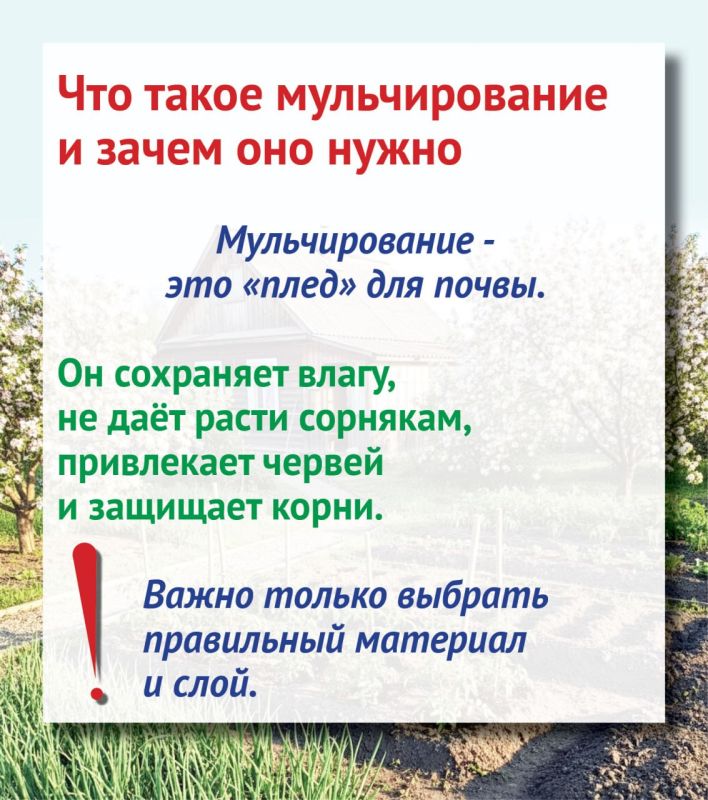 Все о мульчировании, или Поддерживаем порядок на участке без титанических усилий Все о мульчировании, или Поддерживаем порядок на участке без титанических усилий