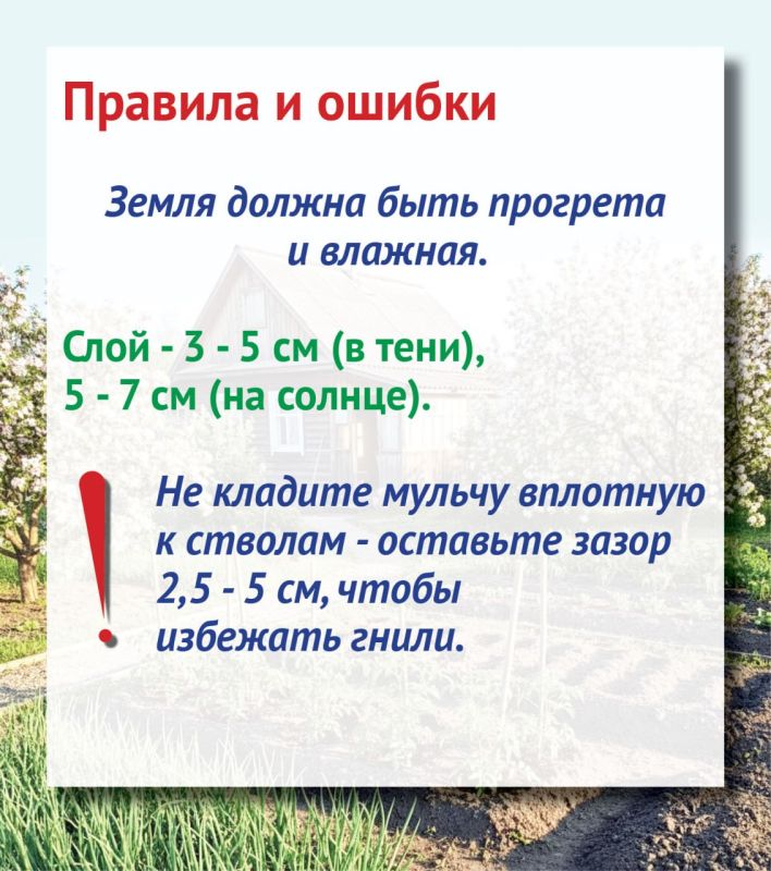 Все о мульчировании, или Поддерживаем порядок на участке без титанических усилий Все о мульчировании, или Поддерживаем порядок на участке без титанических усилий